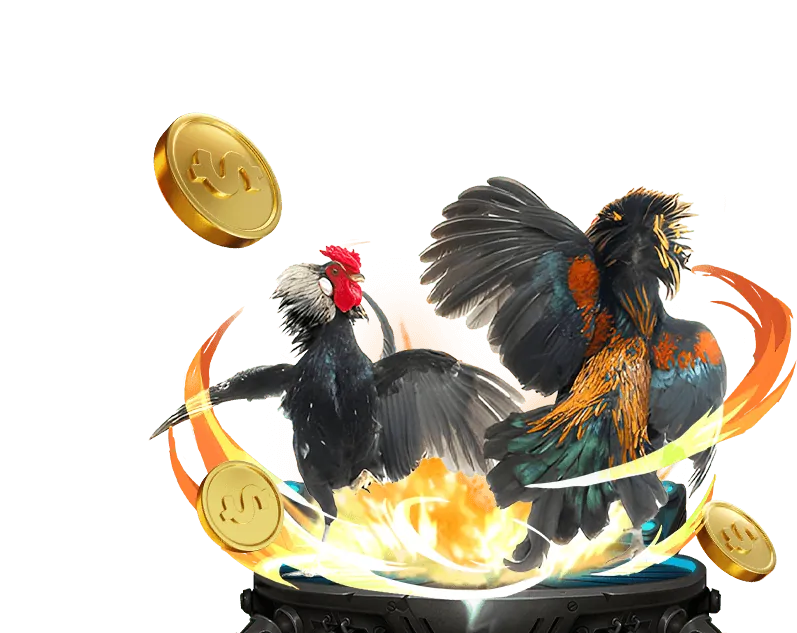 Quản lý vốn 13win